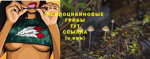 мет Надым