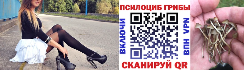 Галлюциногенные грибы Psilocybine cubensis  где купить наркотик  Теберда 